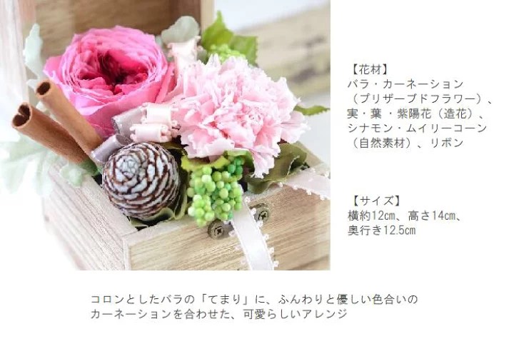 母の日早割・プリザーブドフラワーカーネーションボックスアレンジ