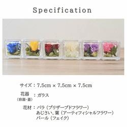 プリザーブドフラワー 全６色オーダー可 上質なガラスキューブ 薔薇 ギフト プレゼント ガラス ガラスドーム 仏花 犬 5枚目の画像