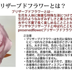 手作りキット 人気の花器 プリザーブドフラワー「ティーカップアレンジ」 ギフト ハンドメイド キット 手作り 材料　 9枚目の画像