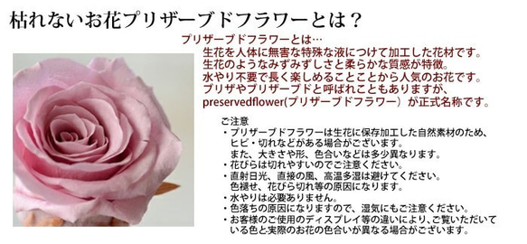 【手作りキット】人気の花器　プリザーブドフラワー「ティーカップアレンジ」プリザキット　ギフト　ハンドメイド　キット　 5枚目の画像