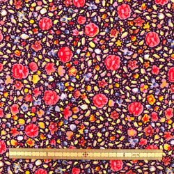 【ラスト1枚】65cmカット　USAコットン　Rowan　KAFFE FASSETT　ケイフファセット　Kashmir 3枚目の画像