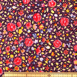 【ラスト1枚】65cmカット　USAコットン　Rowan　KAFFE FASSETT　ケイフファセット　Kashmir 4枚目の画像