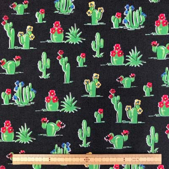 USAコットン　WINDHAM FABRICS　ウインダムファブリック　SOUTH OF THE BORDER 3枚目の画像