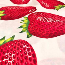 【完売】USAコットン　THE ALEXANDER HENRY　アレクサンダーヘンリー　very strawberry 1枚目の画像