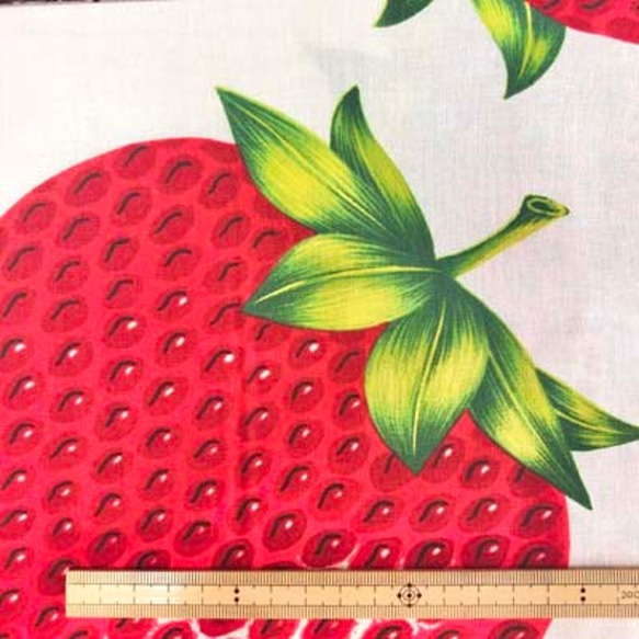 【完売】USAコットン　THE ALEXANDER HENRY　アレクサンダーヘンリー　very strawberry 4枚目の画像