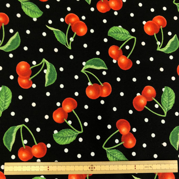 USAコットン　moda　モダ　FRESH PICKED　CHERRIES/BLACK 3枚目の画像