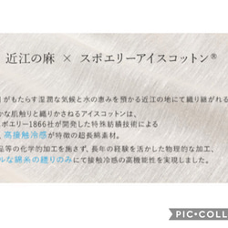 ひんやり冷感　アイスコットン　はぎれ　生地　麻 2枚目の画像