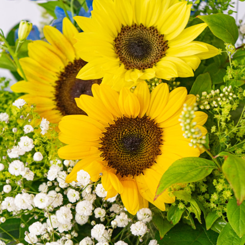 そのまま飾れる夏空のブーケ】そのまま飾れる 太陽と空のブーケ