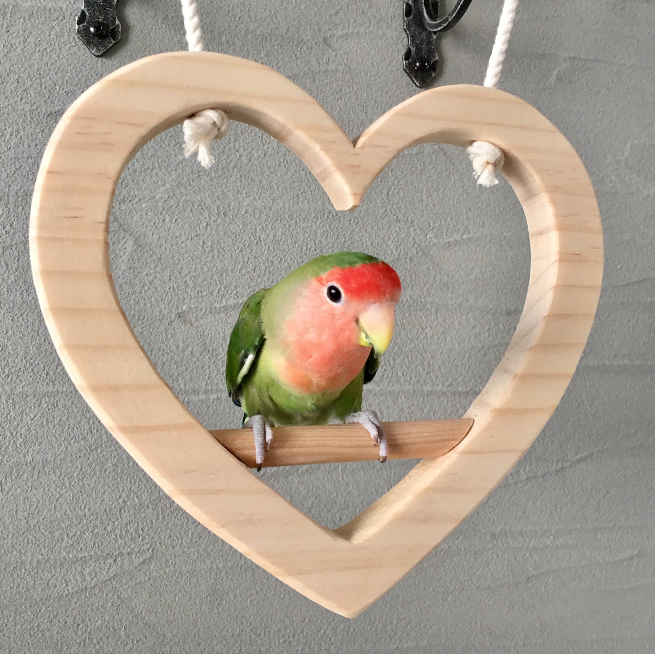 ハートの止まり木セット【Sサイズ】