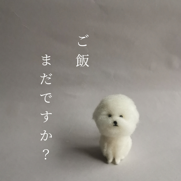 SOLD】ビションフリーゼ手乗りサイズ 羊毛フェルト lamulito