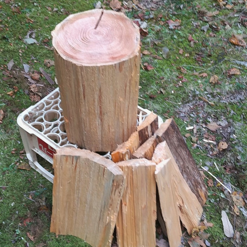 木材の中心（心材）だけの丸太椅子 .天然ヒノキ（直径 中） 椅子