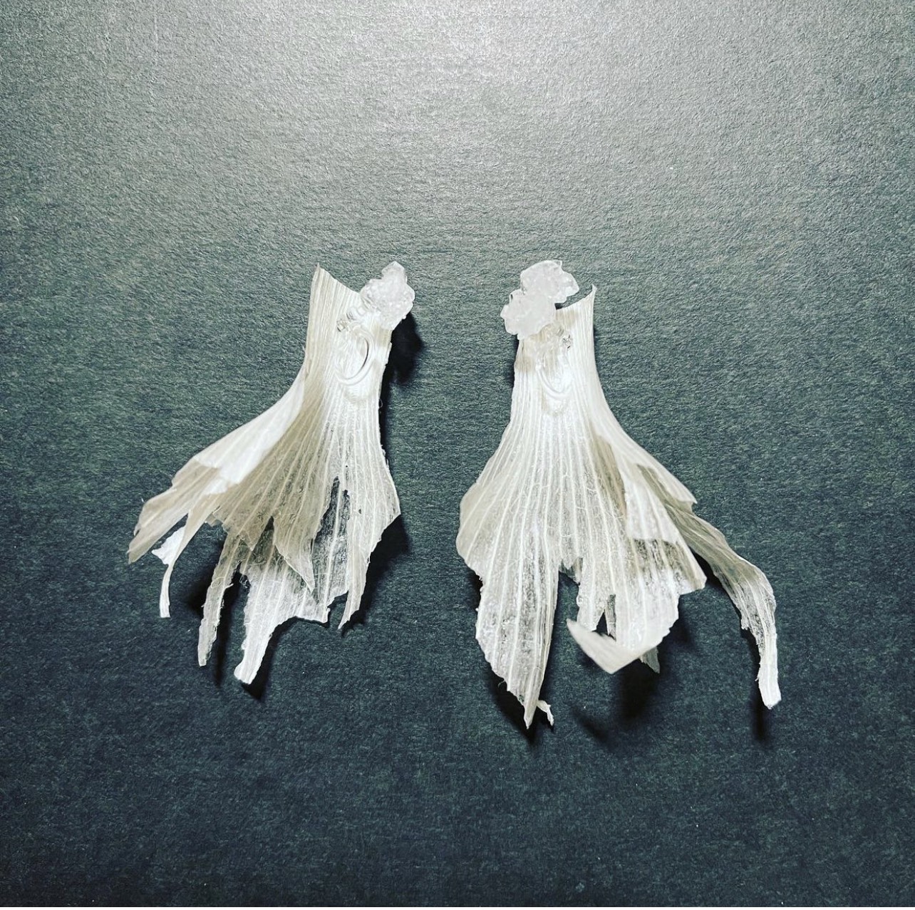 第十九号「にじゅう」