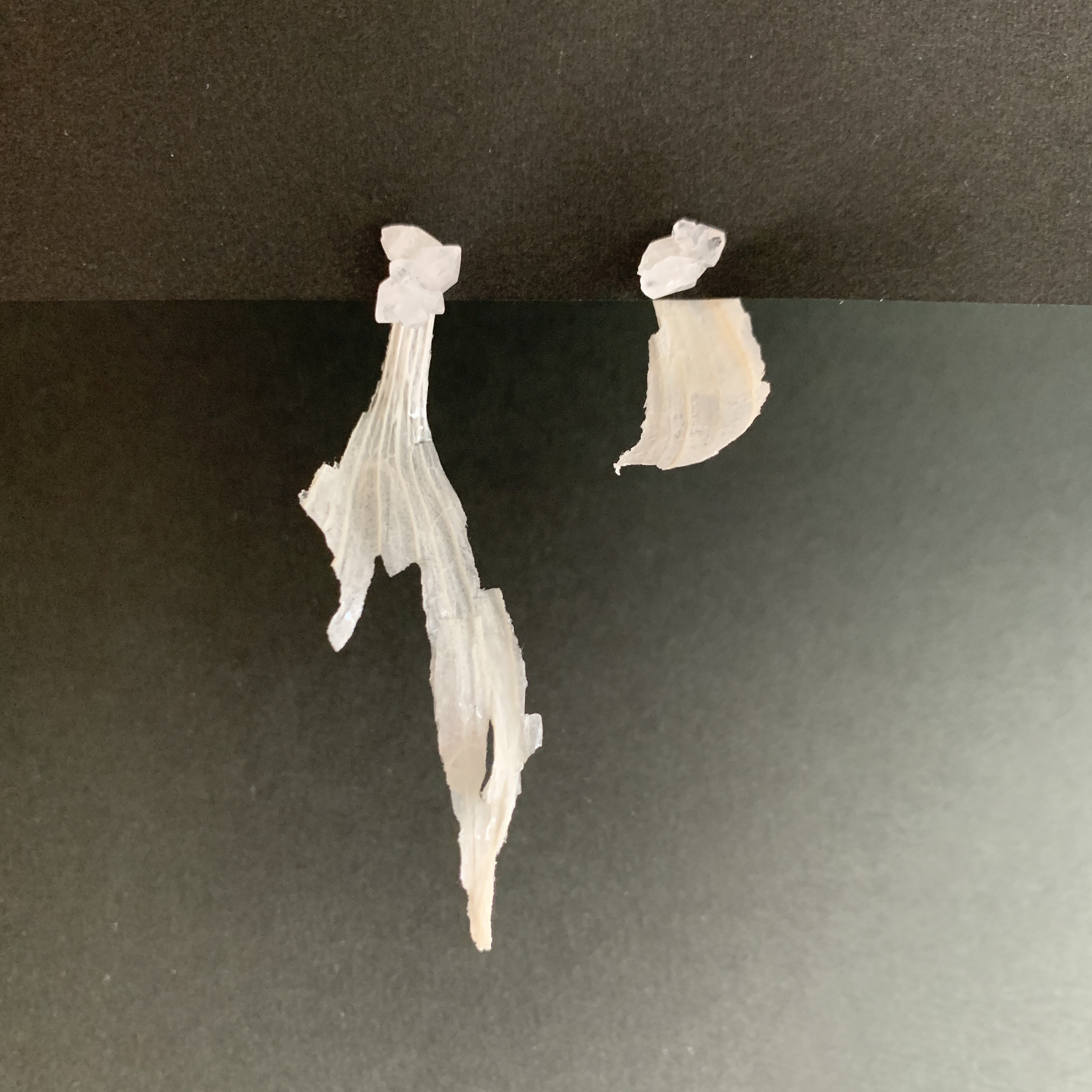 第一号「たゆたう」