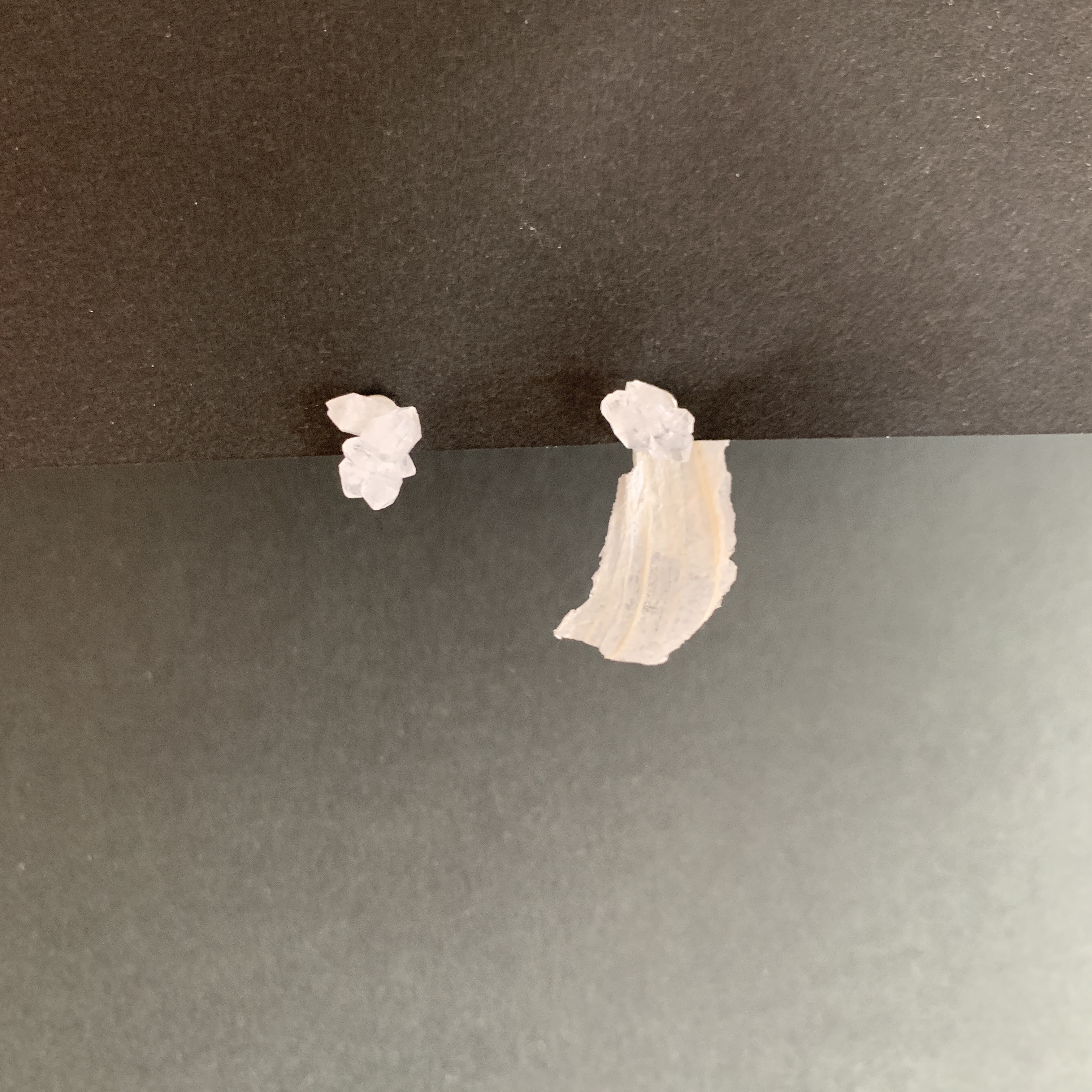 第一号「たゆたう」