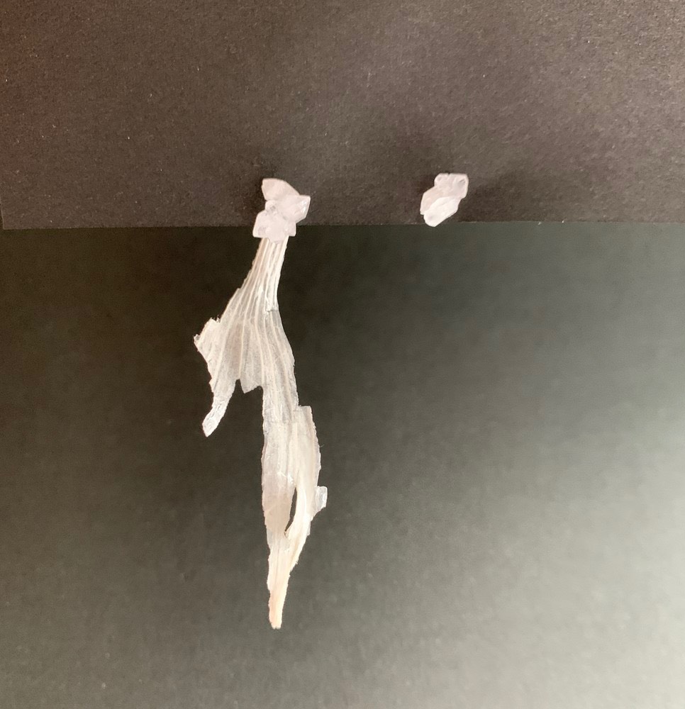 第一号「たゆたう」