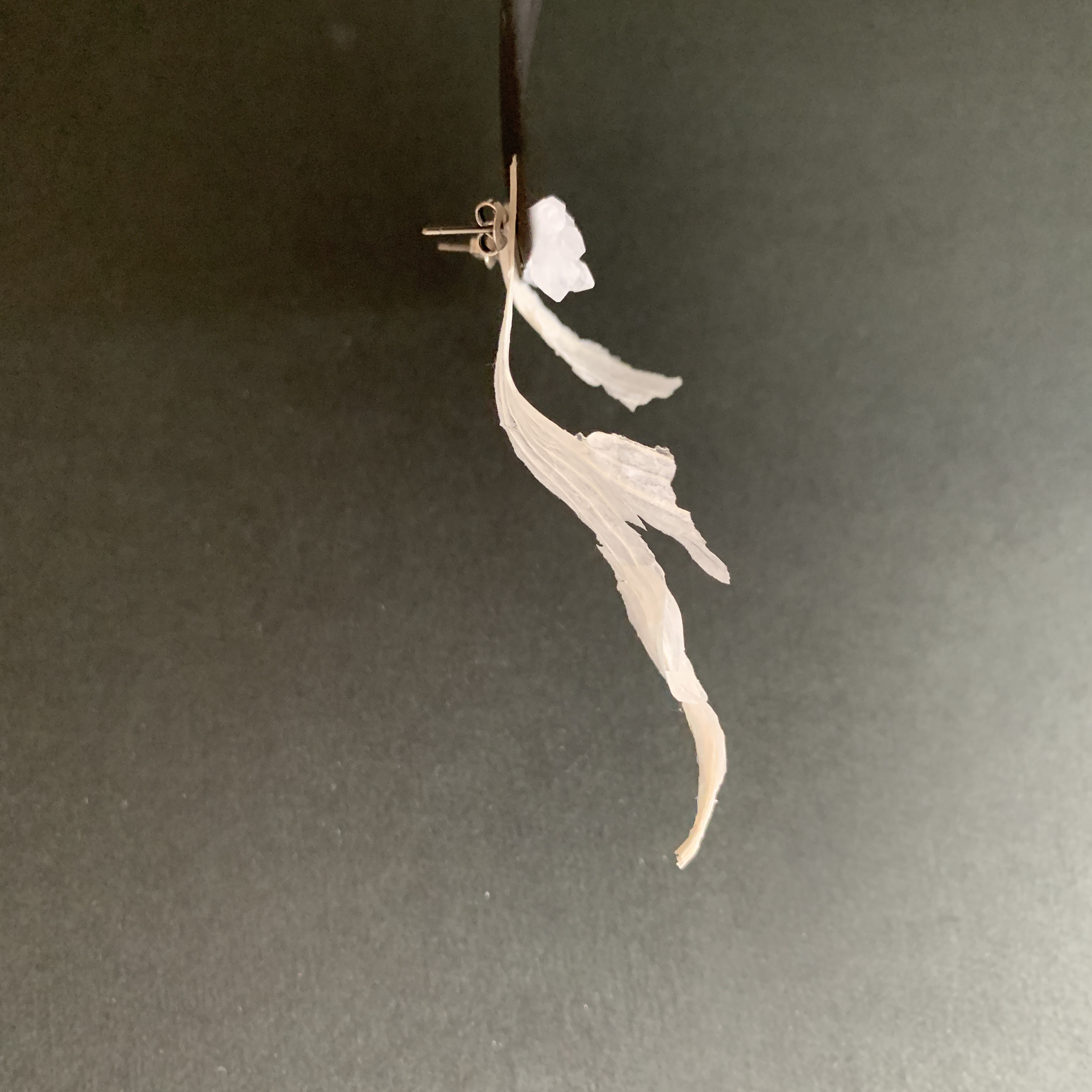 第一号「たゆたう」