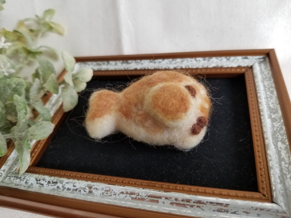 [sale]ぶさかわならんちゅうちゃんパンのブローチ 2枚目の画像