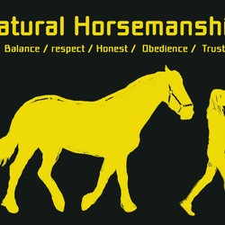 Natural Horsemanship/デザイン変更調整可/ドライTシャツ/メトロブルー　 3枚目の画像