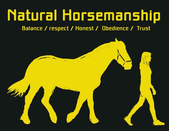 Natural Horsemanship/デザイン変更調整可/ドライTシャツ/メトロブルー　 3枚目の画像