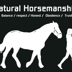 Natural Horsemanship/デザイン変更調整可/ドライTシャツ/メトロブルー 3枚目の画像