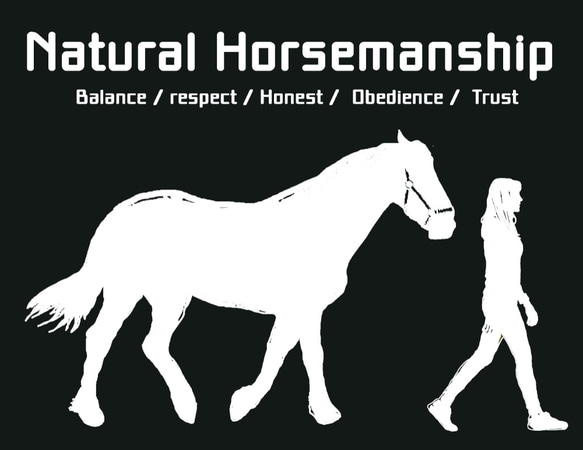 Natural Horsemanship/デザイン変更調整可/ドライTシャツ/メトロブルー 3枚目の画像