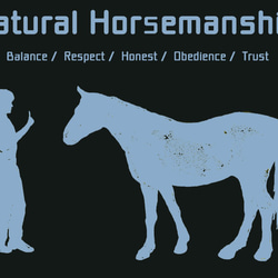 Natural Horsemanship/デザイン変更調整可/ドライTシャツ/メトロブルー 3枚目の画像