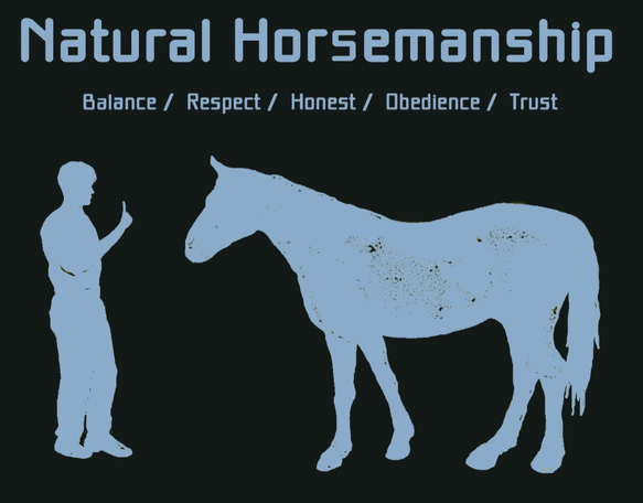 Natural Horsemanship/デザイン変更調整可/ドライTシャツ/メトロブルー 3枚目の画像