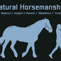 Natural Horsemanship/デザイン変更調整可/ドライTシャツ/ホワイト 3枚目の画像