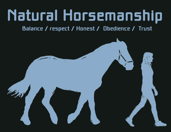 Natural Horsemanship/デザイン変更調整可/ドライTシャツ/ホワイト 3枚目の画像