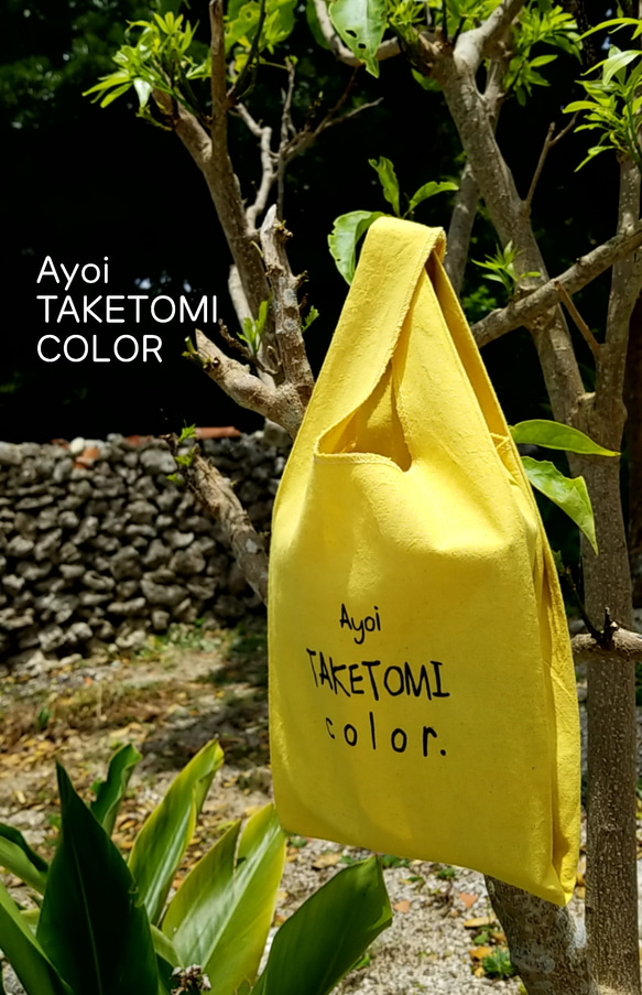 Ayoi TAKETOMI color mini マルシェバッグ 1枚目の画像