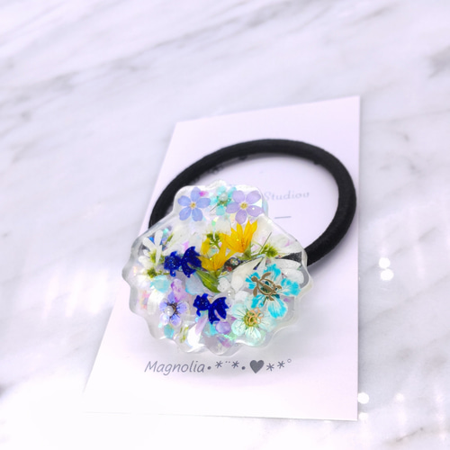 ♡ホタテ♡ヘアゴム レジン ユーフォルビア 金魚 押し花 ヘアゴム
