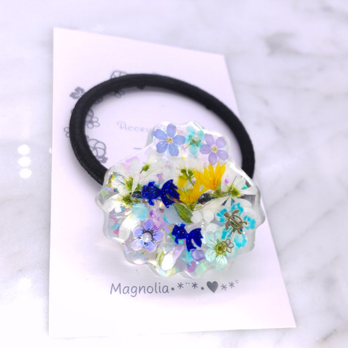 ♡ホタテ♡ヘアゴム レジン ユーフォルビア 金魚 押し花 ヘアゴム