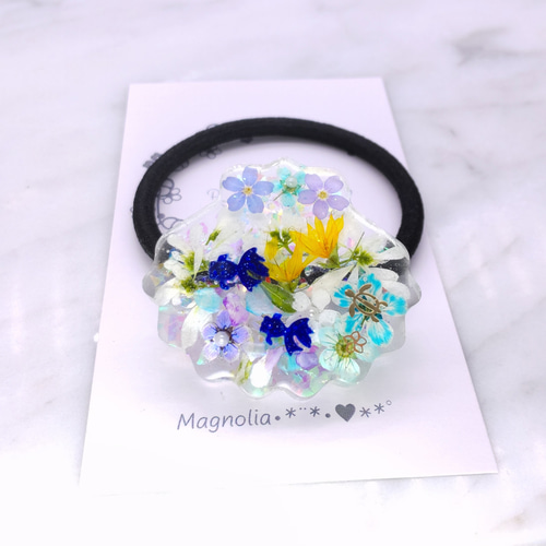 ♡ホタテ♡ヘアゴム レジン ユーフォルビア 金魚 押し花 ヘアゴム