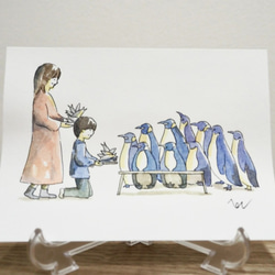 原画イラスト/ポストカード/訪問ペンギン7枚セット 3枚目の画像