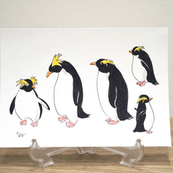 原画イラスト/ポストカード/ペンギン3枚セット イラスト