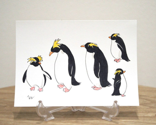 原画イラスト/ポストカード/ペンギン3枚セット イラスト ペンギン