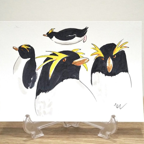 原画イラスト/ポストカード/ペンギン3枚セット イラスト ペンギン