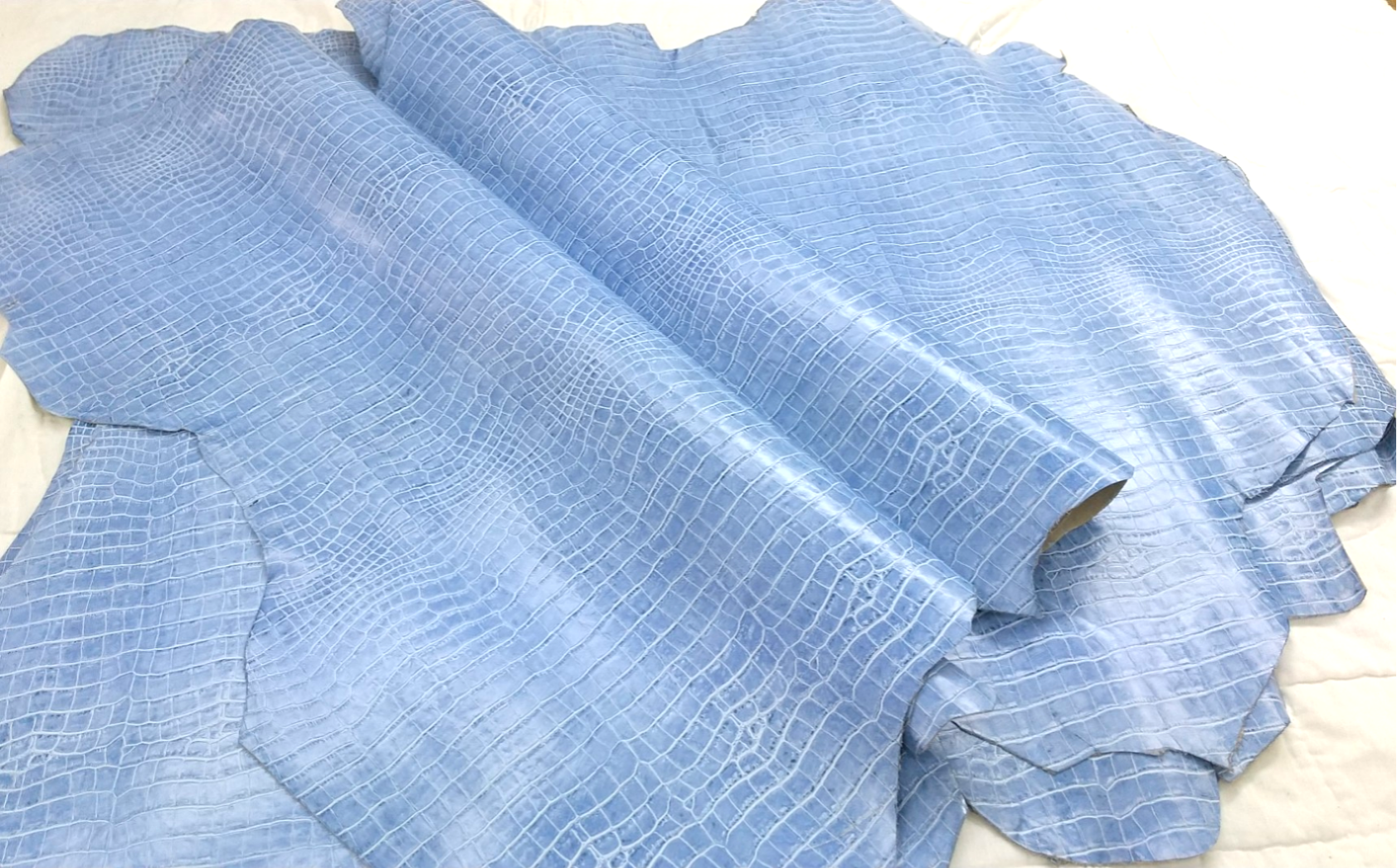 ウイング（クロコ型押しレザー）#ブルー 革の大きさ55デシ前後