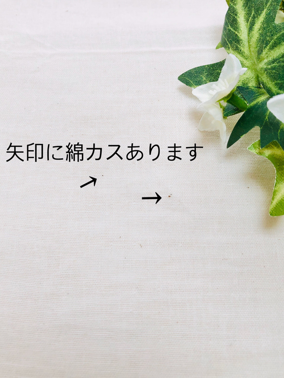 ✳️在庫のみとなります☘️立体マスク☘️雪の結晶柄❄️クリスマス  ダブルガーゼ  さらし 4枚目の画像