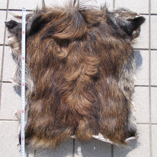 イノシシの鞣し革 その他インテリア雑貨 手作り君 通販 11175619