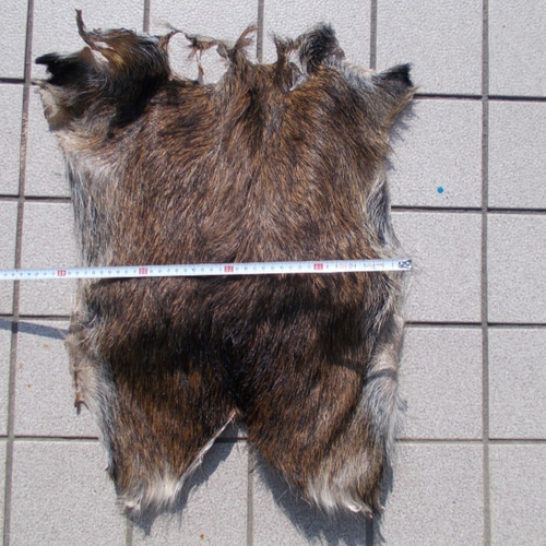 イノシシの皮を鞣しました。 その他インテリア雑貨 手作り君 通販