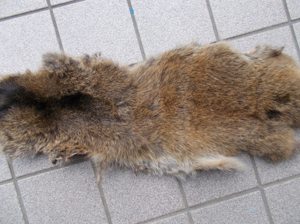 ハクビシンの鞣し毛皮[ハンドメイド] ハクビシンの鞣し毛皮[ハンドメイド] ハクビシンの鞣し毛皮