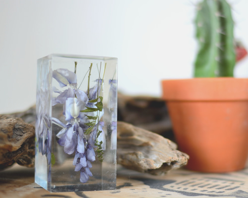 1_bba977c18d61444d6c617e290c74