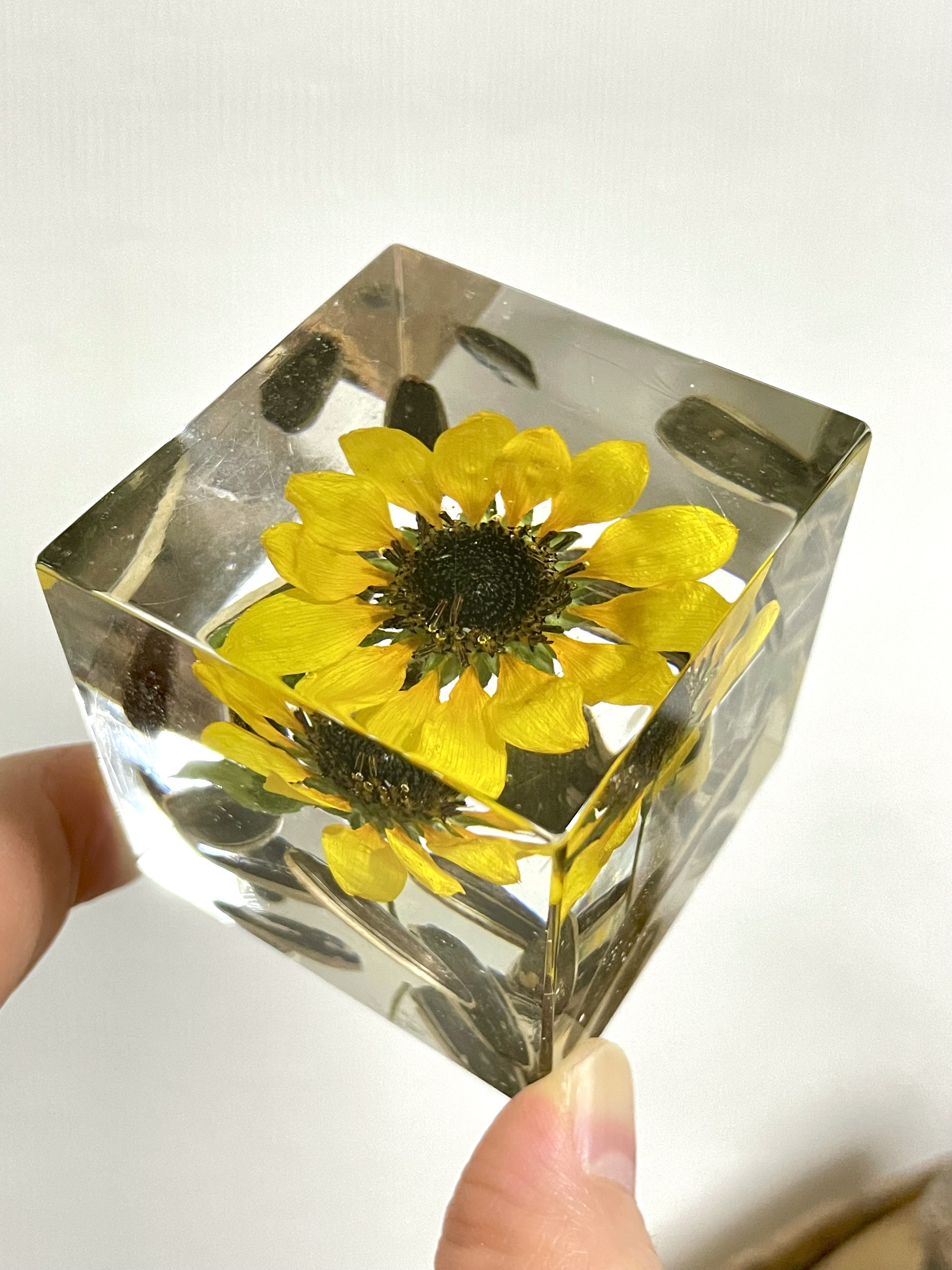 レジン ヘアゴム イエロー 花かんざし ミニひまわり ドライフラワー Amazon.co.jp: 花材 スターフラワーミニ 向日葵 ひまわり レジン