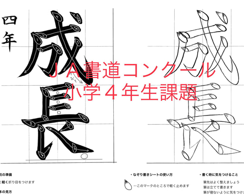 非売品 貴重『 日本書芸院四十年の歩み 社団法人 』 平成元年