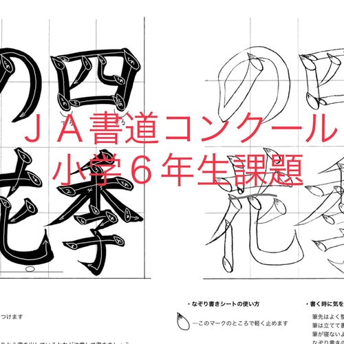お手本習字 ぎんせい教室 | 😸ぎんせい教室 大人生徒さん用のお手本です