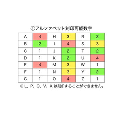 お名前刻印サービス（ファーストシューズ ） 5枚目の画像