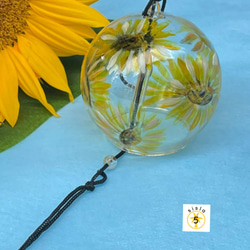 ひまわりです Amazon | タキイ種苗 ひまわり F1サンリッチオレンジ | 野菜