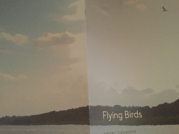 「巣立つ鳥たちへ（Flying Birds）」 ピアノ譜 3枚目の画像
