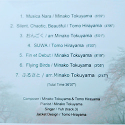 Musica Nara & Silent, Chaotic, Beautiful 2枚目の画像